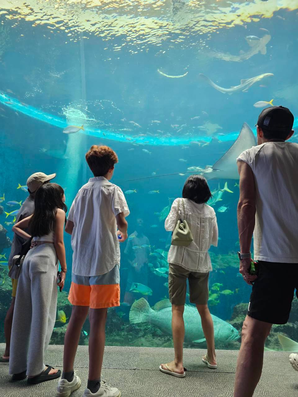 大きな水槽を眺める大人と子どもたちを後ろから撮影した写真