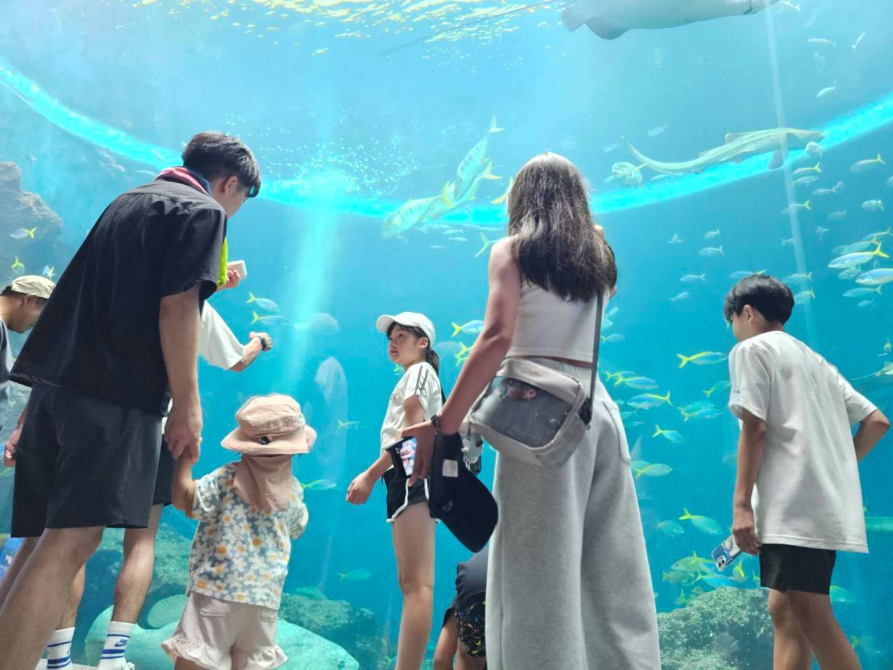 大きな水槽の前に集まる大人と子どもたち